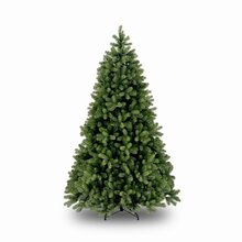 poly bayberry spruce hinged h183cm - afbeelding 1