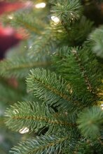 poly bayberry spruce hinged h213cm - afbeelding 4
