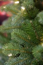 poly bayberry spruce hinged h274cm - afbeelding 4