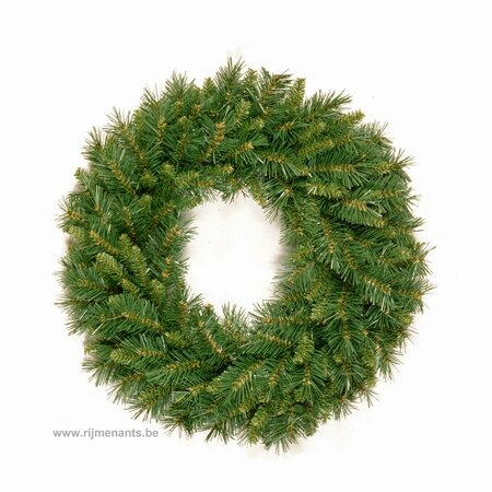 tiffany fir wreath d51cm - afbeelding 1