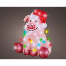 varken acrylic led 30x41cm 100l